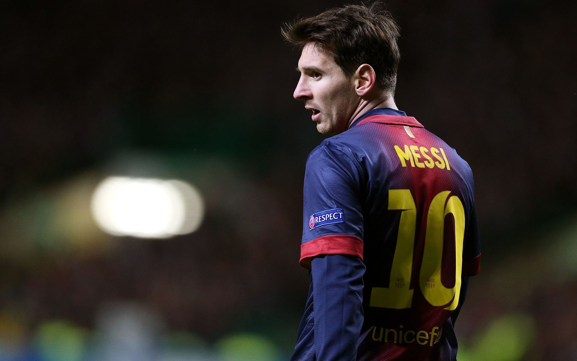 游客与爱好 游客与爱好