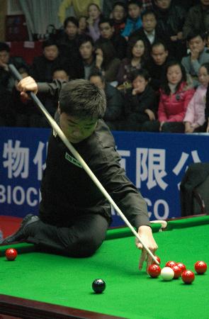 能会在开局 能会在开局